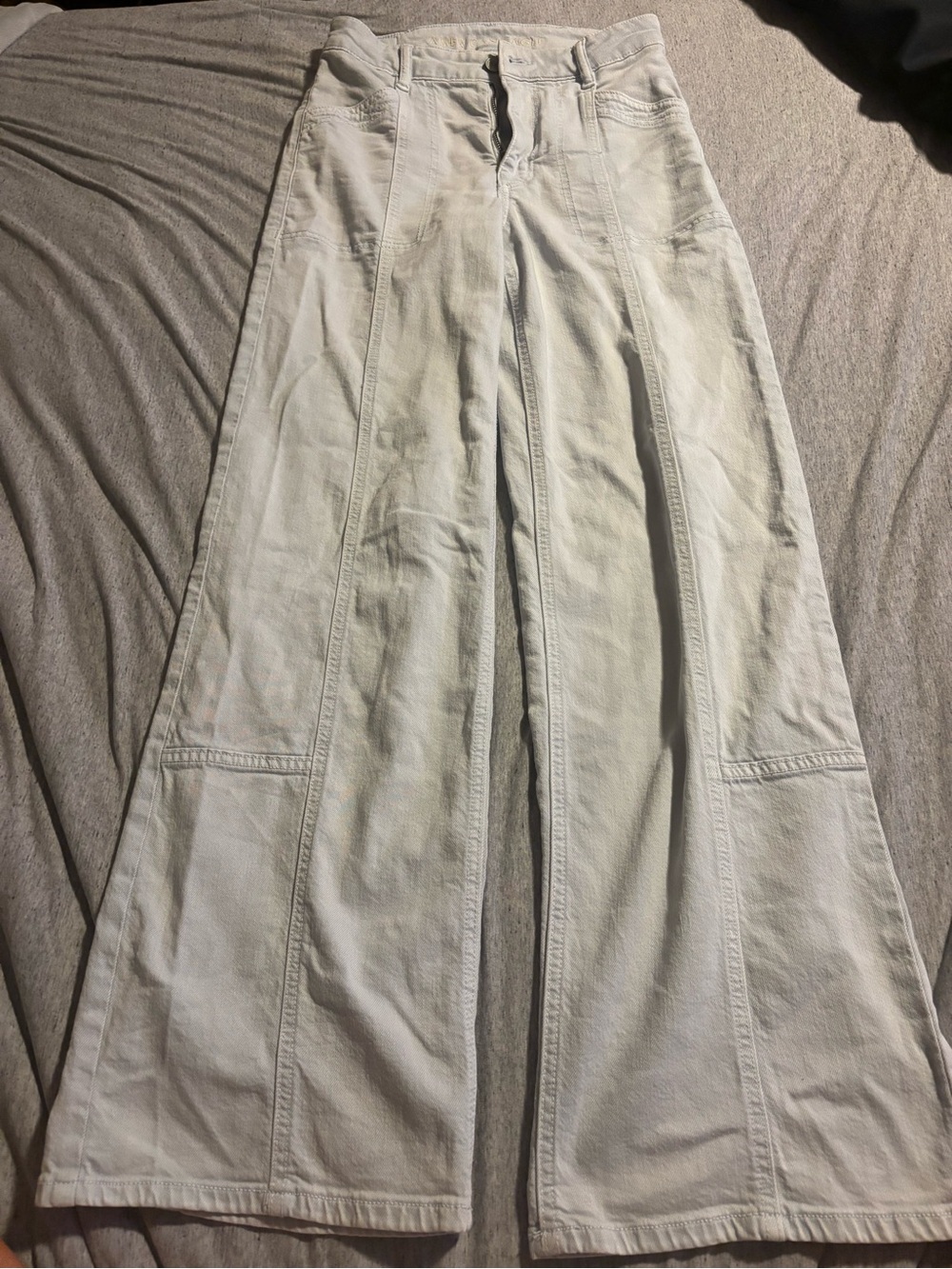 American Eagle Outfitters Wide-Leg Baggy